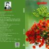 Gulmohar